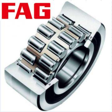 NNCF4864V  Full-complement Fylindrical Roller Bearings FAG